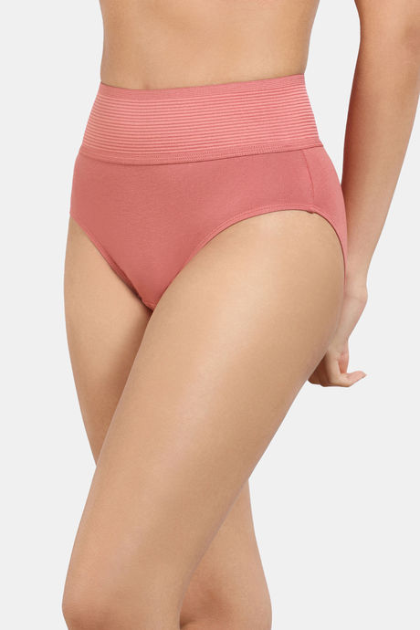 Zivame High Rise Full Coverage Tummy Tucker Hipster Panty (Pack of 2) - Multicolor — image 4